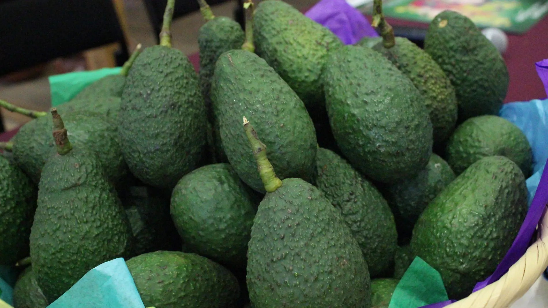 AGUACATE - MLM (2)